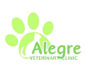 Alegre Logo