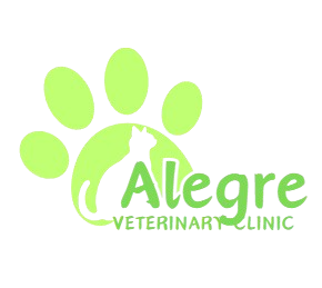 Alegre Logo